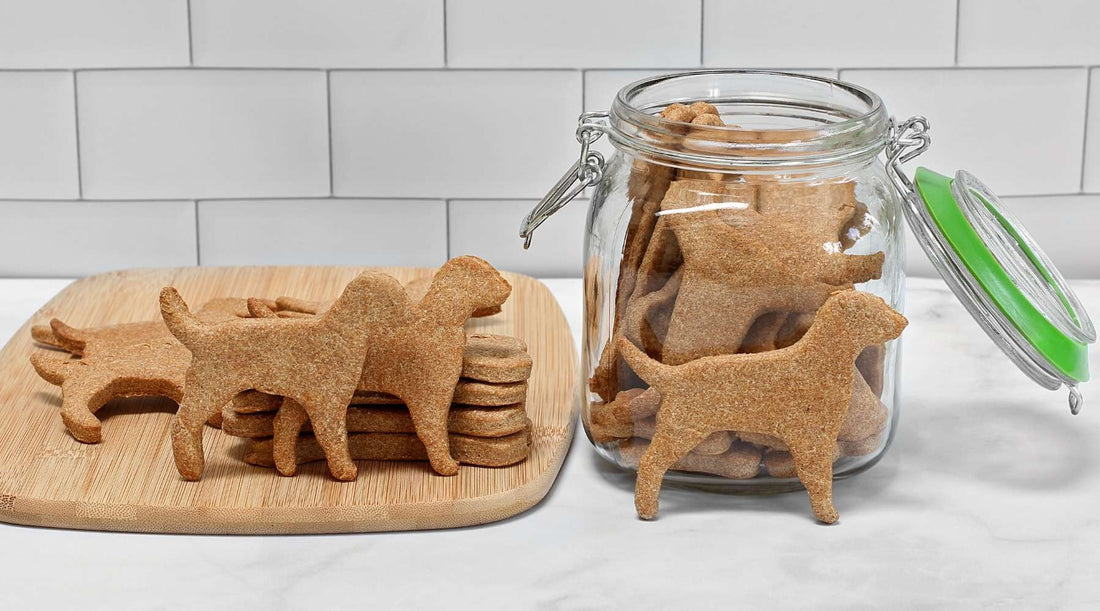 Dog shaped homemade puppy treats