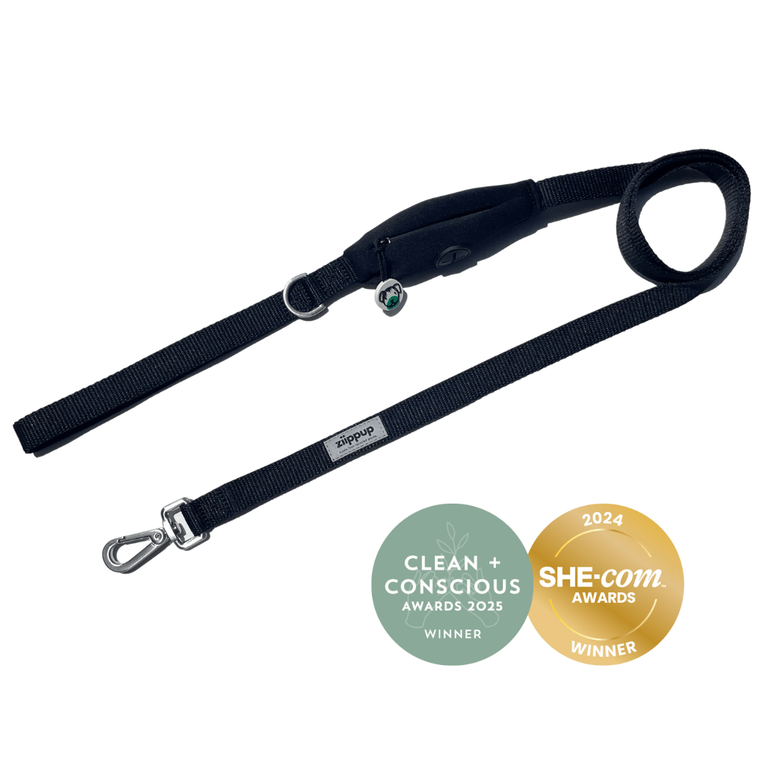 Black leash for dogs, award-winning