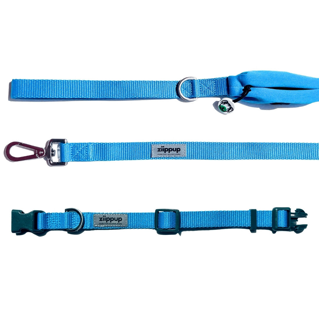 Blue dog collar and leash set