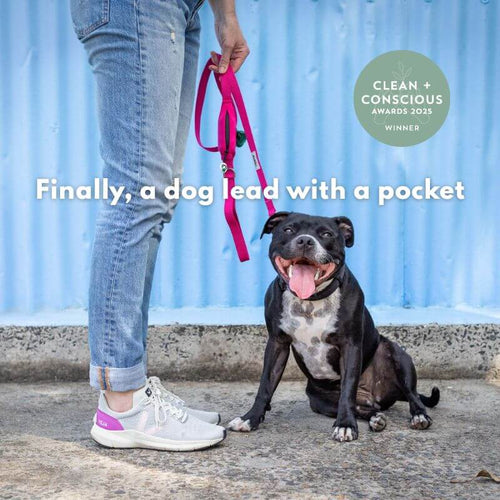Dog sitting next to a person holding a pink dog lead with a pocket, against a blue wall.