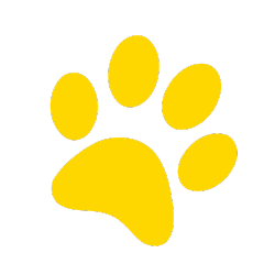 Yellow paw print on a white background