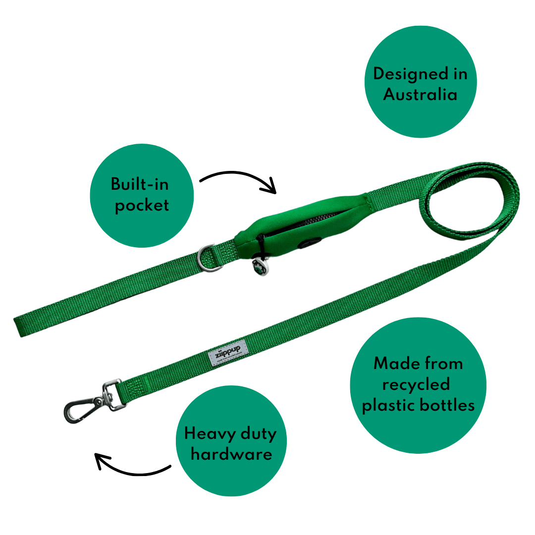 Green Dog Lead - Built-In Pocket