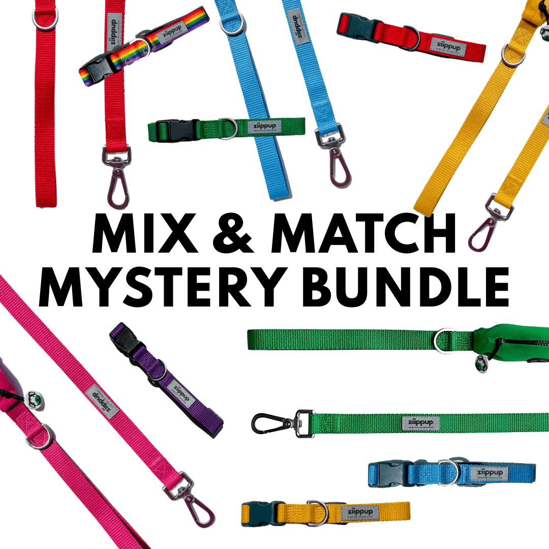 Colorful dog collars and leashes with 'Mix & Match Mystery Bundle' text on a white background