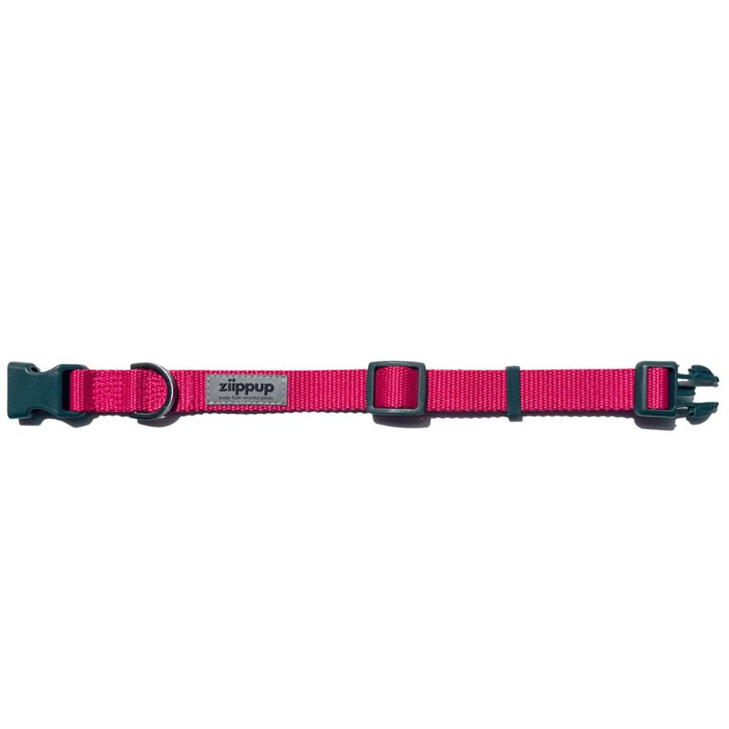 Quick release pink dog collar with safety buckle