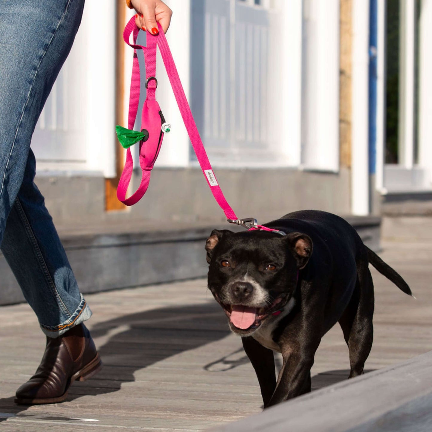Staffy wearing matching pink dog collar and lead set designed in Australia