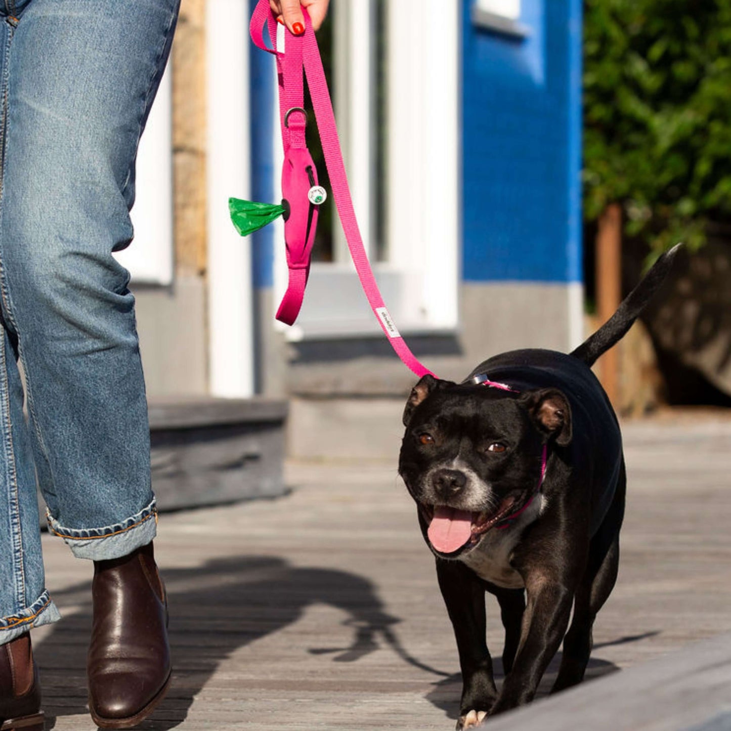 Black dog on a pink leash with a pink quick-release collar being walked by a person on a wooden deck.