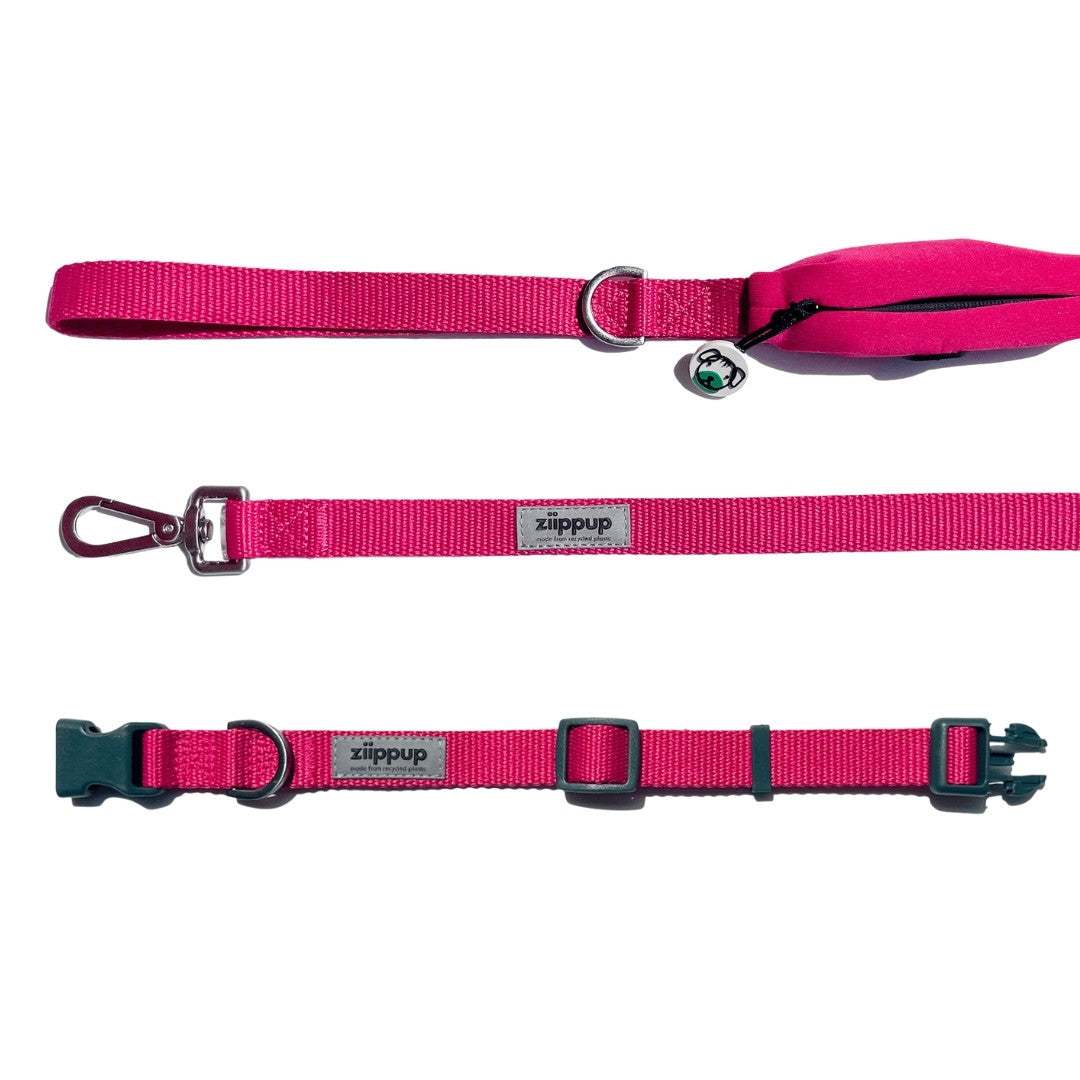 Pink dog leash and collar set