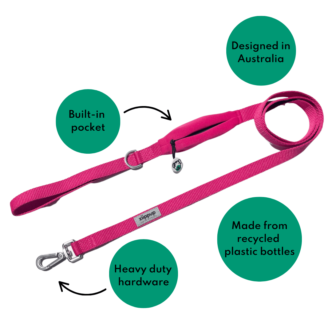 Pink Collar & Lead Set