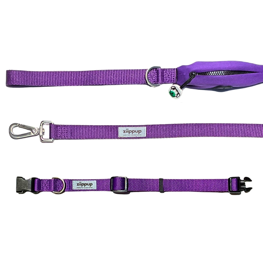 Purple dog leash and collar set