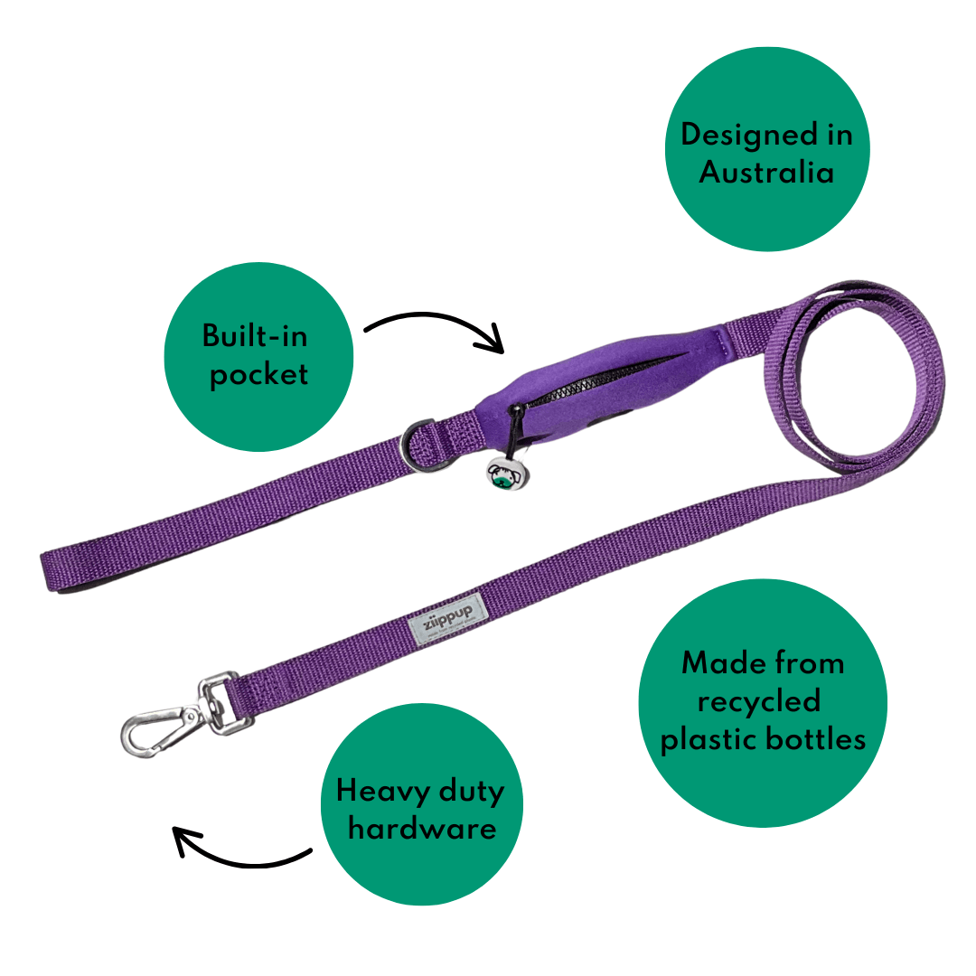 Purple Walk Essentials