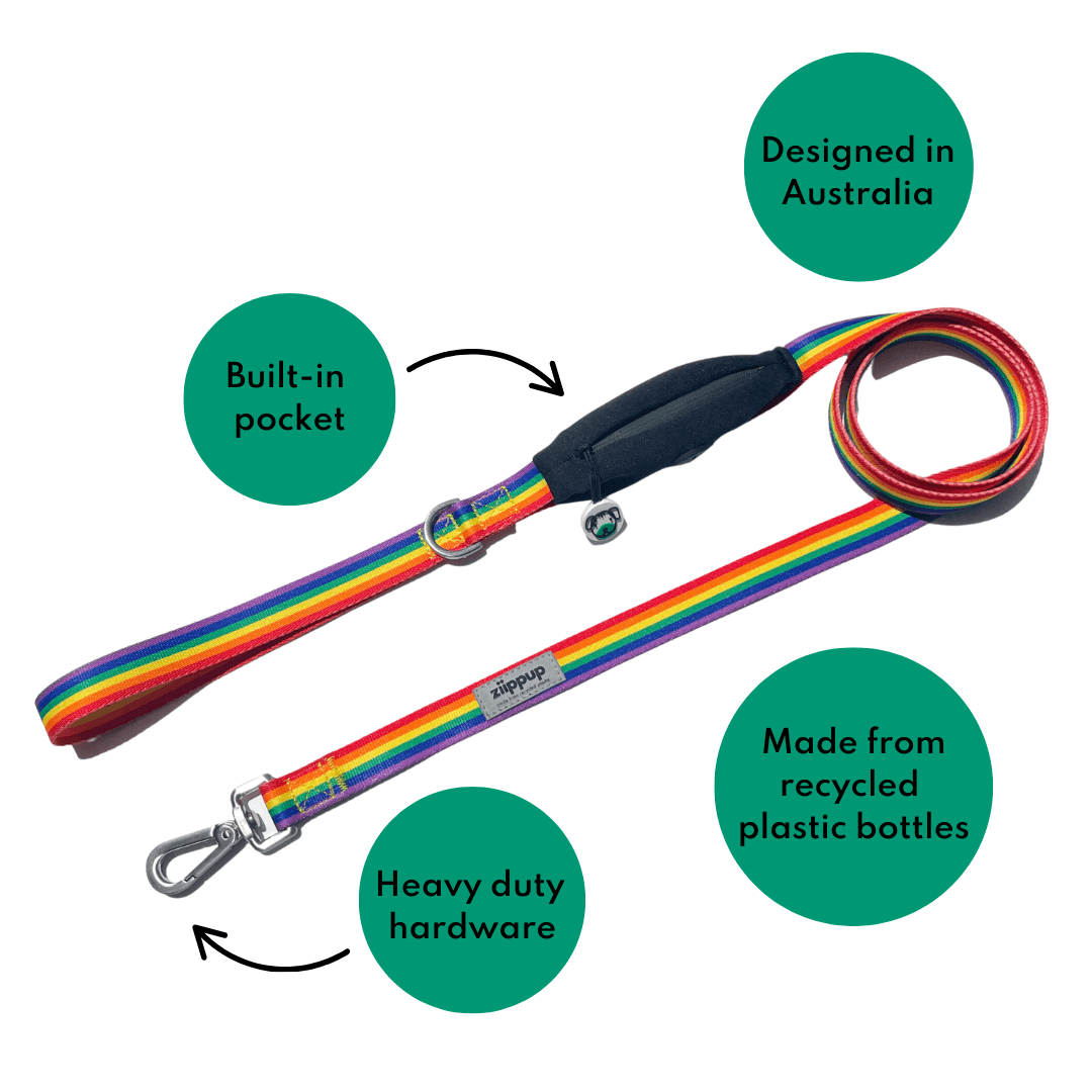 Rainbow Lead - Built-In Pocket