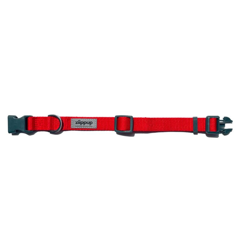 Red collar for dogs with quick release buckle