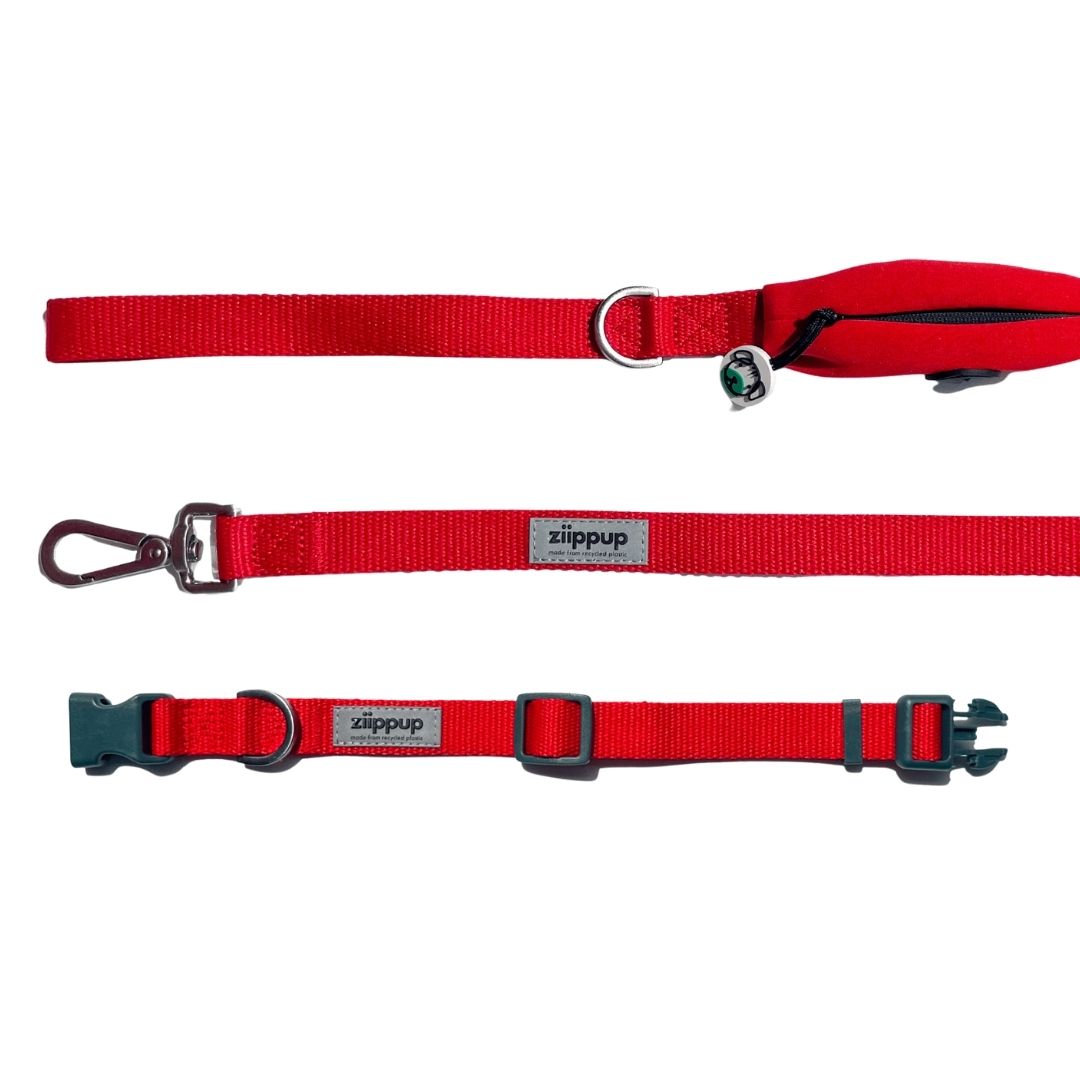 Red leash and dog collar set