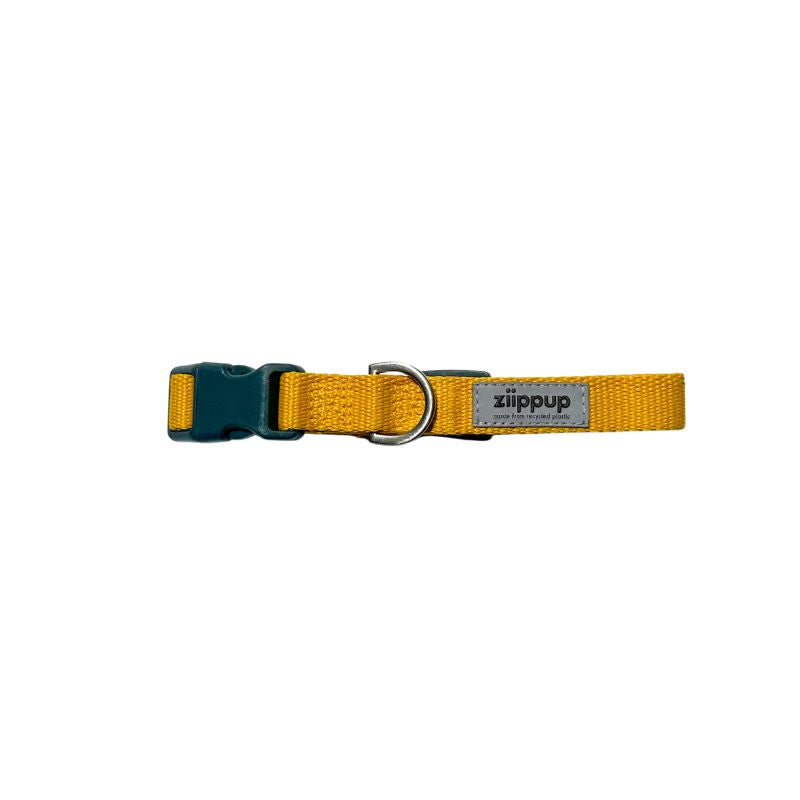Yellow dog collar for puppies and dogs, designed in Australia