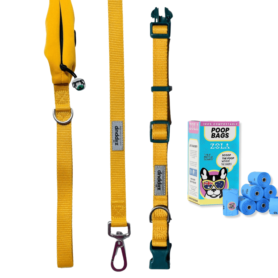 Matching set of yellow dog leash and collar with a box of dog compostable poop bags on a white background