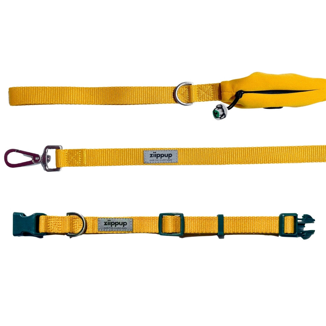 Yellow dog collar and leash set