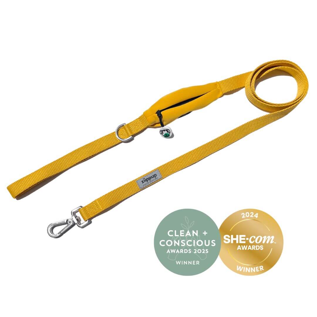 Yellow Dog Lead - Built-In Pocket
