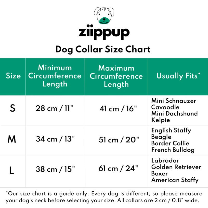 Dog collar size guide chart - Ziippup