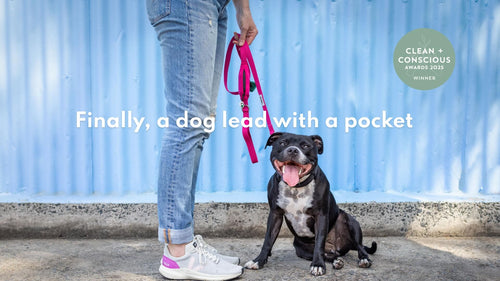 Dog on a leash with a pocket next to a person, against a blue corrugated metal background.
