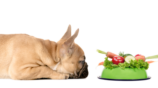 Seasonal fruit & veg for dogs – March edition