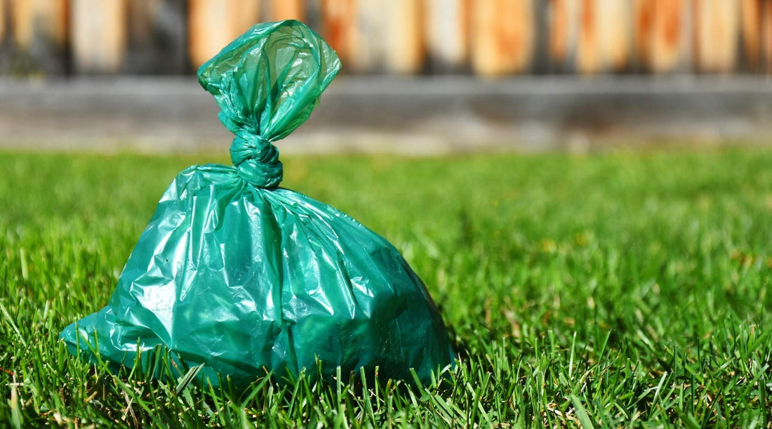 Green dog poop bag