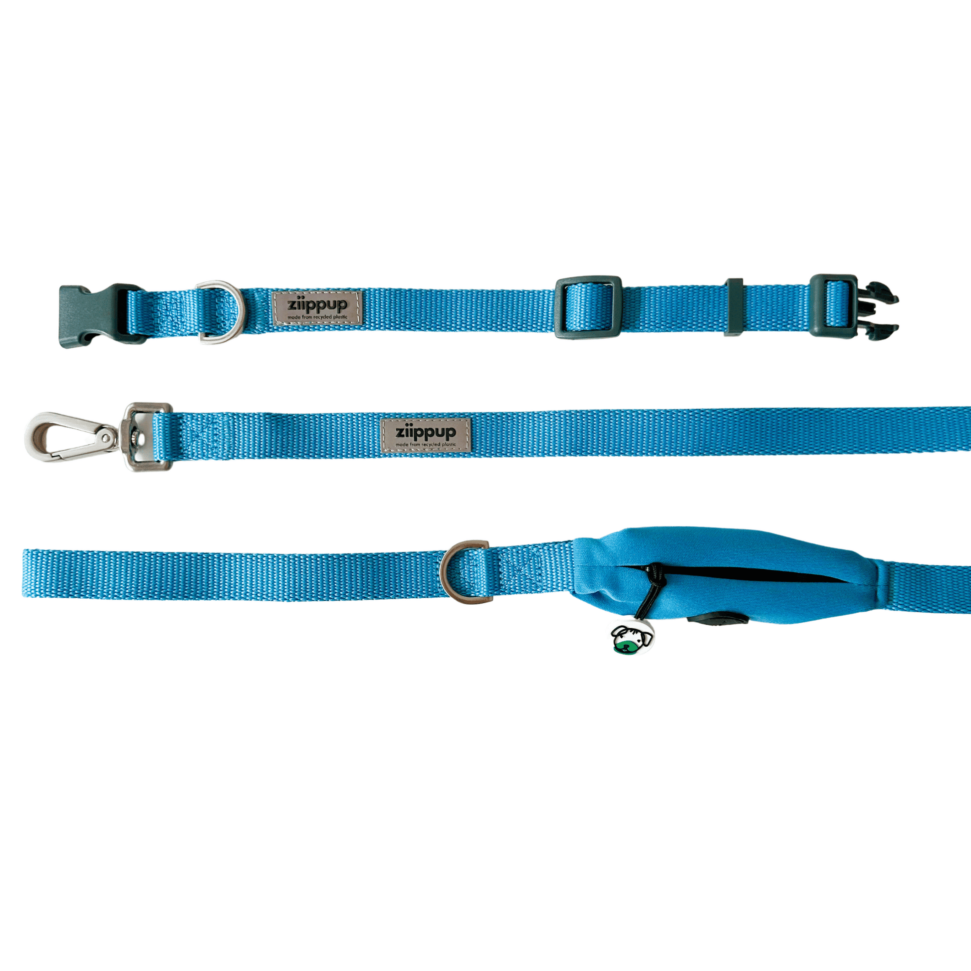 Matching blue collar and lead, Ziippup