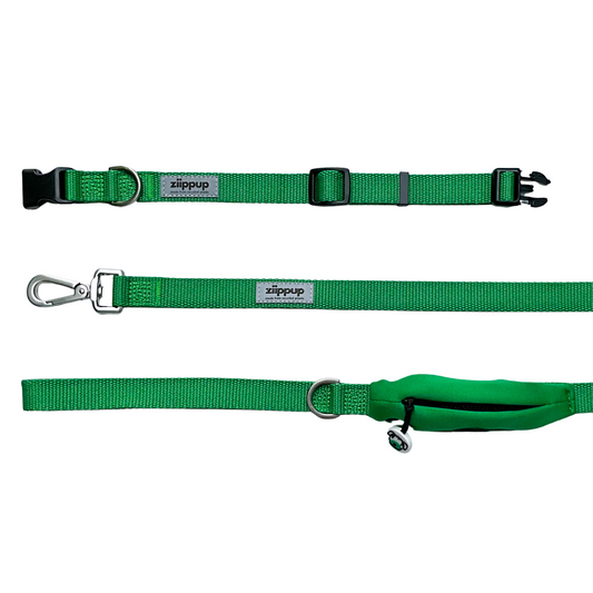 Green dog collar and lead set