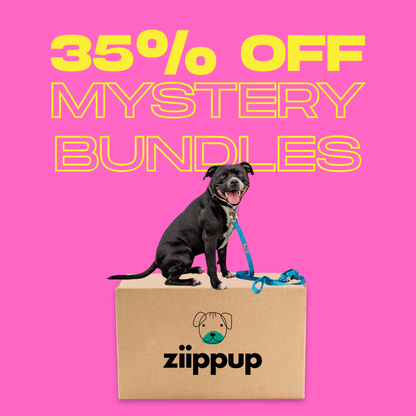 Mix & Match Mystery Bundle
