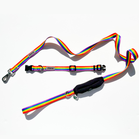 Rainbow dog collar and lead set