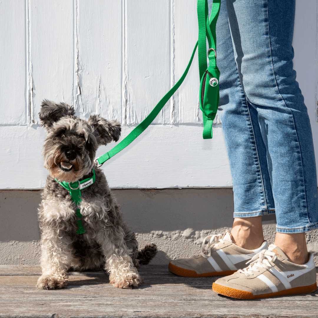 Green rPET dog harness