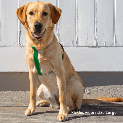 Ergonomic dog harness, green