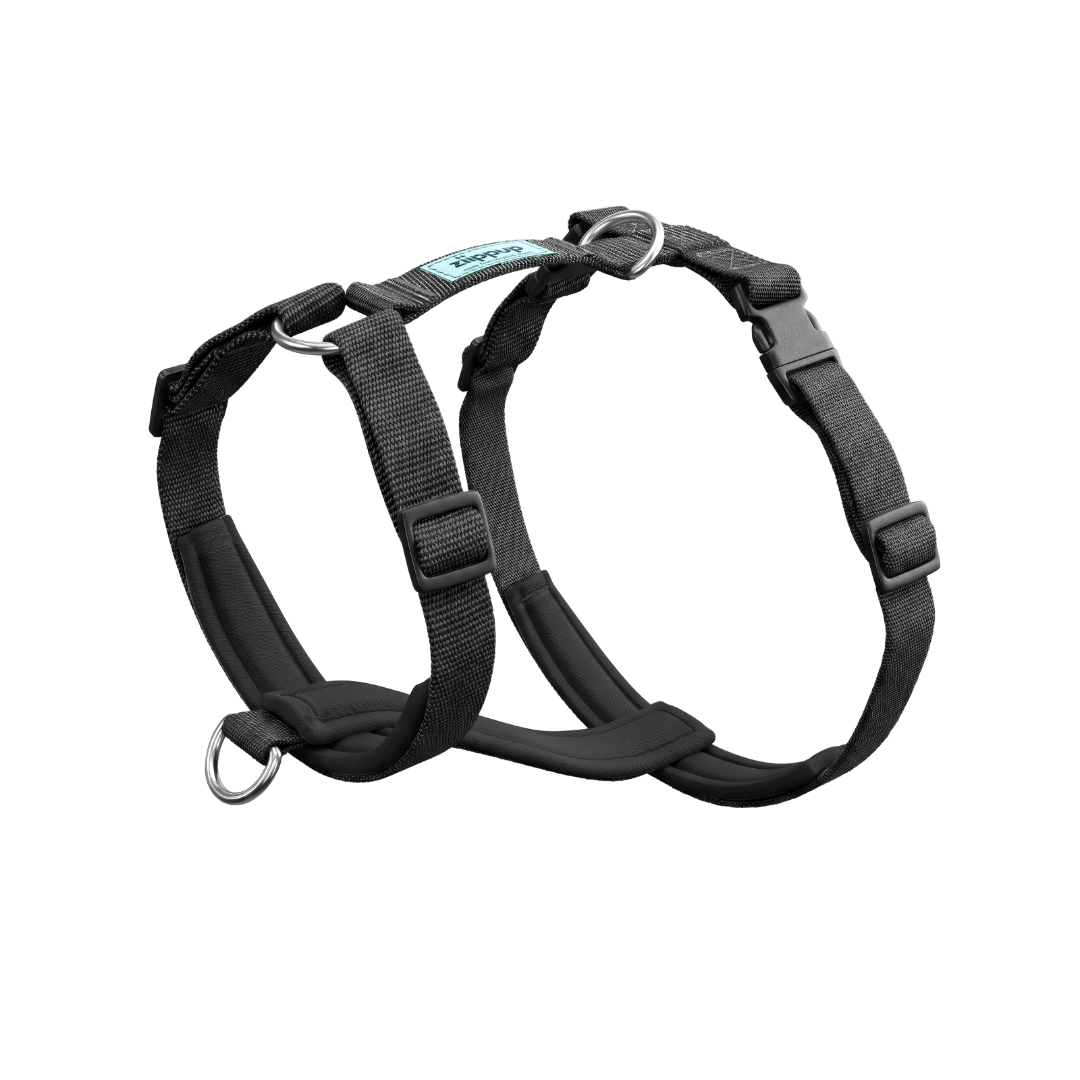 Black no-pull dog harness