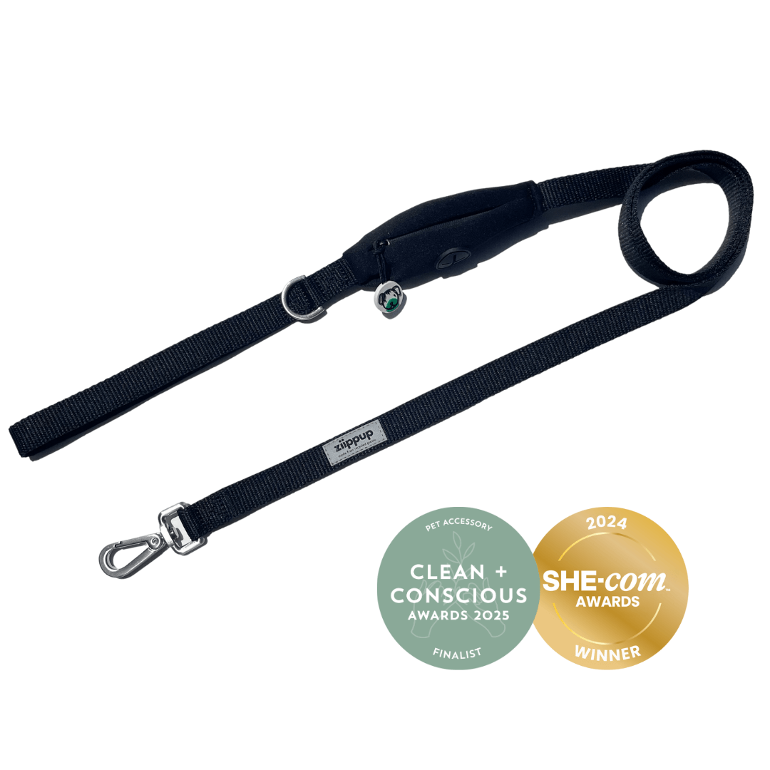 Award-winning black leash for dogs