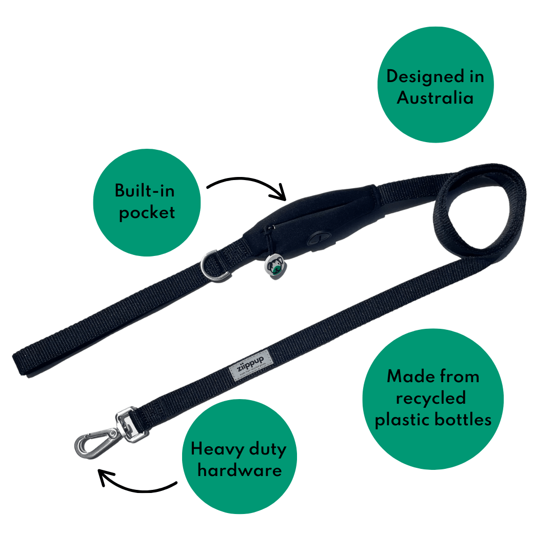 Black Dog Lead - Built-In Pocket