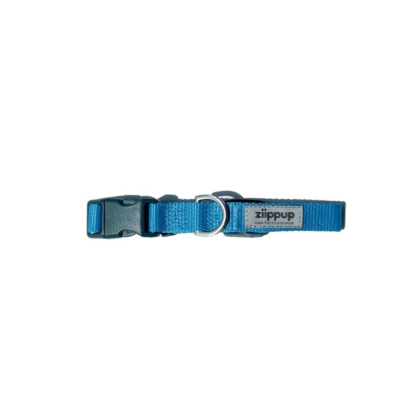 Blue dog collar with reflective, high vis tag