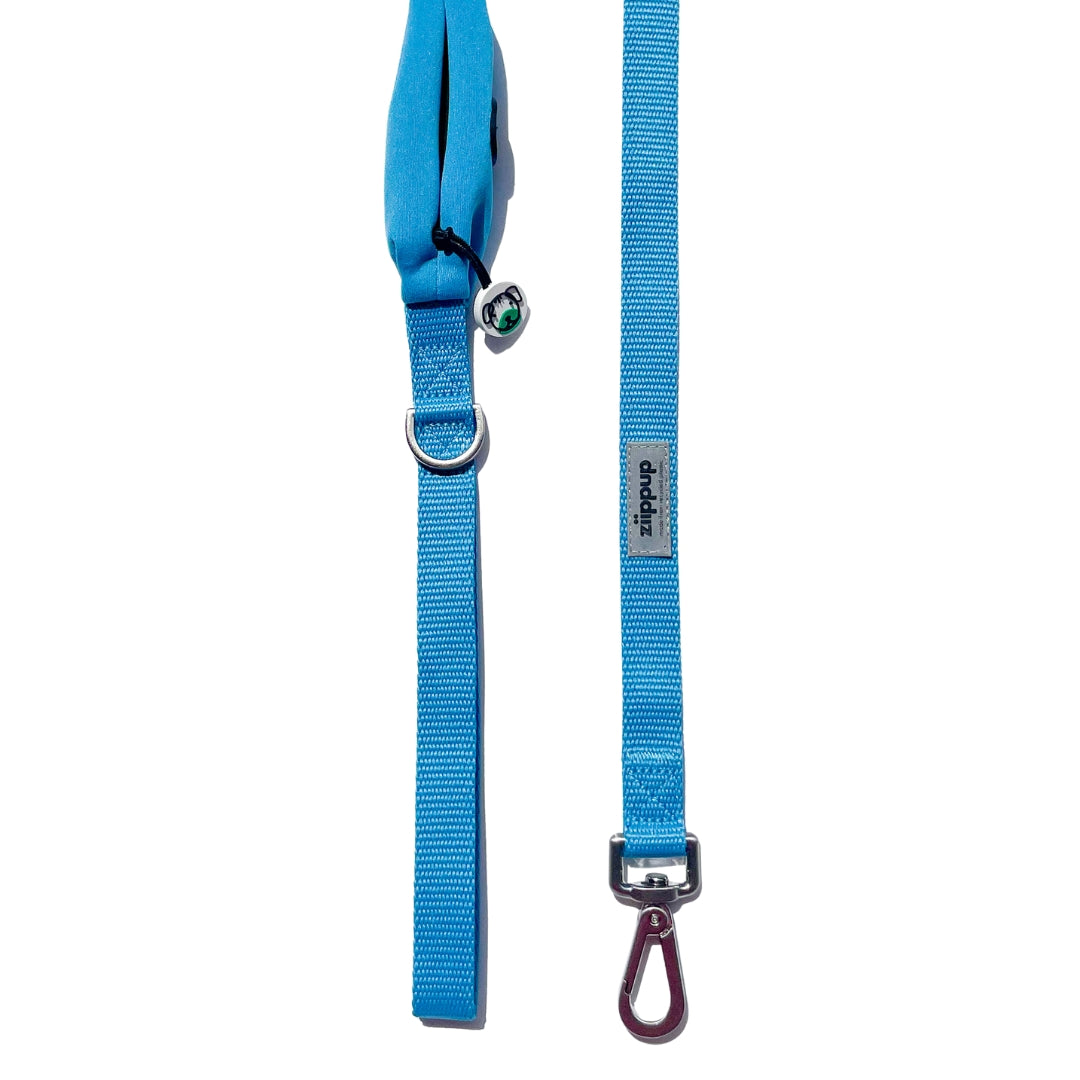 Detailed view of blue leash with dog poop bag dispenser