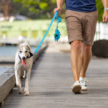 Man walking dog with blue dog lead with poop bag holder