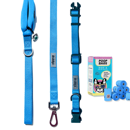 Dog walking essentials in blue - collar, lead, poo bags.