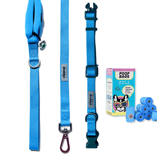 Dog walking essentials in blue - collar, lead, poo bags.