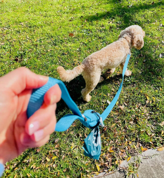 Blue Ziippup lead with compostable poop bag and holder