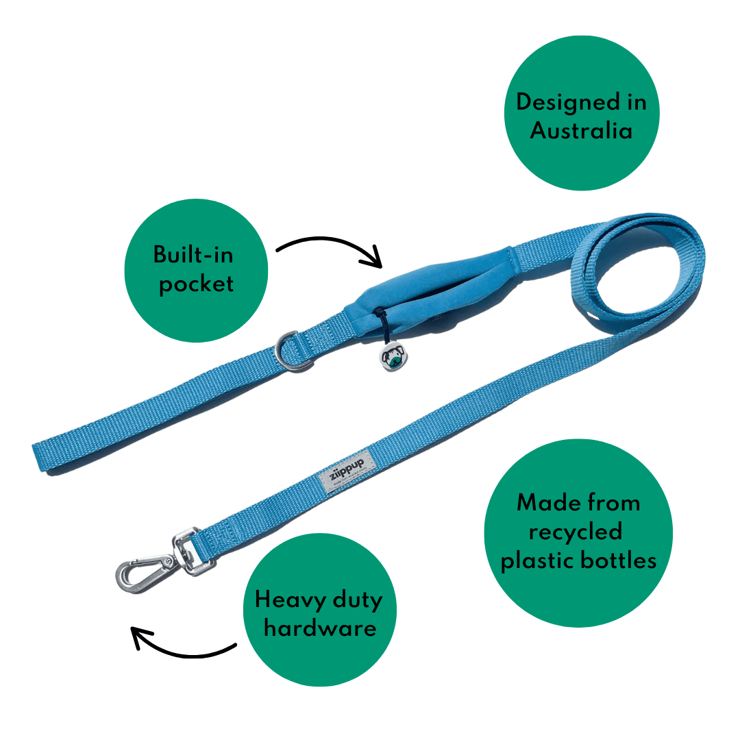 Blue Dog Lead - Built-In Pocket