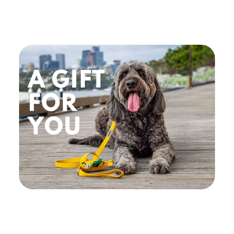 Photo of gift card for dog mums and dads