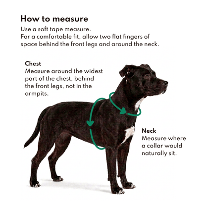 Ziippup dog harness measuring guide