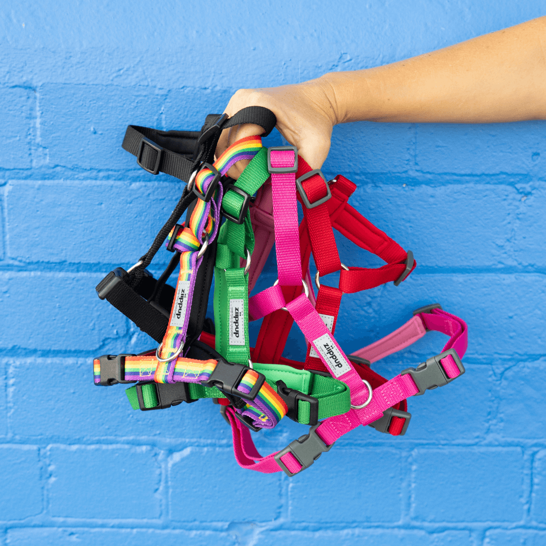 rPET recycled material dog harness – eco-friendly – Ziippup