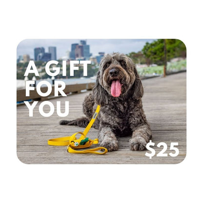 Picture of $25 gift voucher for dog parents with Groodle wearing a yellow dog leash with poop bag holder