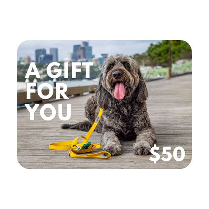 Picture of $50 gift card for dog owners with Groodle wearing a yellow dog lead with built-in poo bag holder