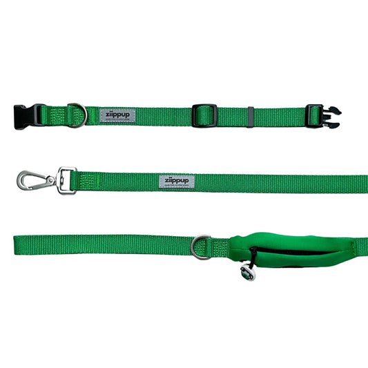 Green dog lead and collar set