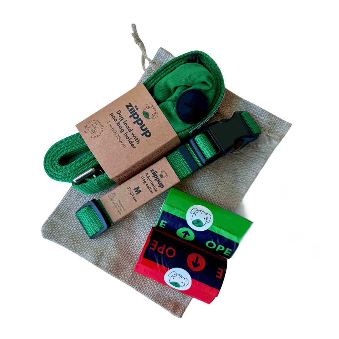 Green Dog Gift Pack