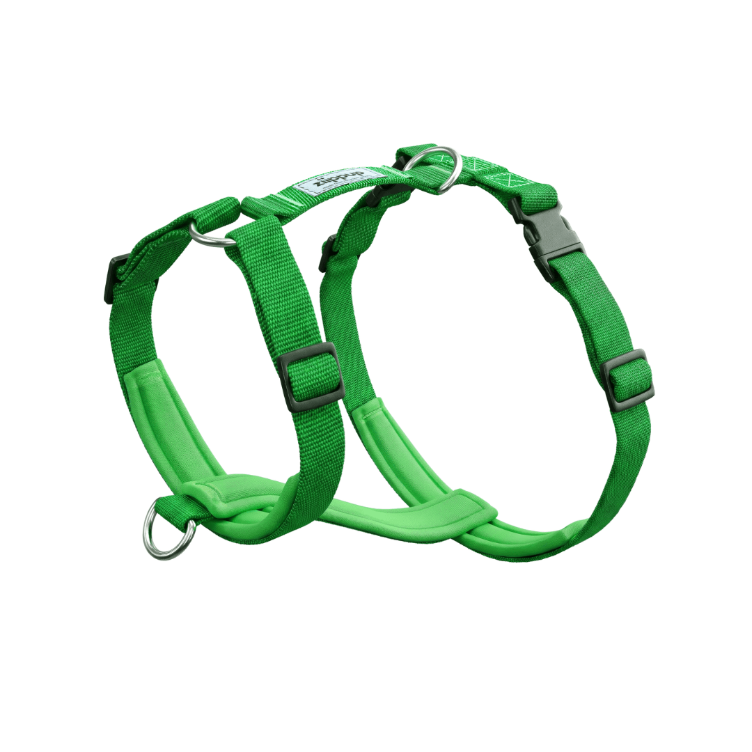Green no-pull dog harness