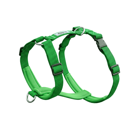 Green no-pull dog harness